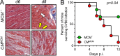 FIG 6