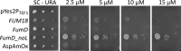 FIG 4