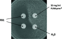 FIG 5