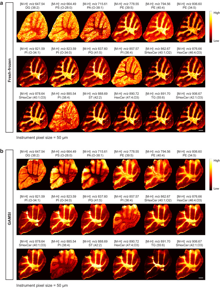 Fig. 3