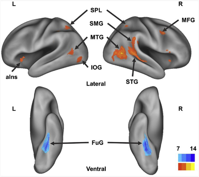 Fig. 4