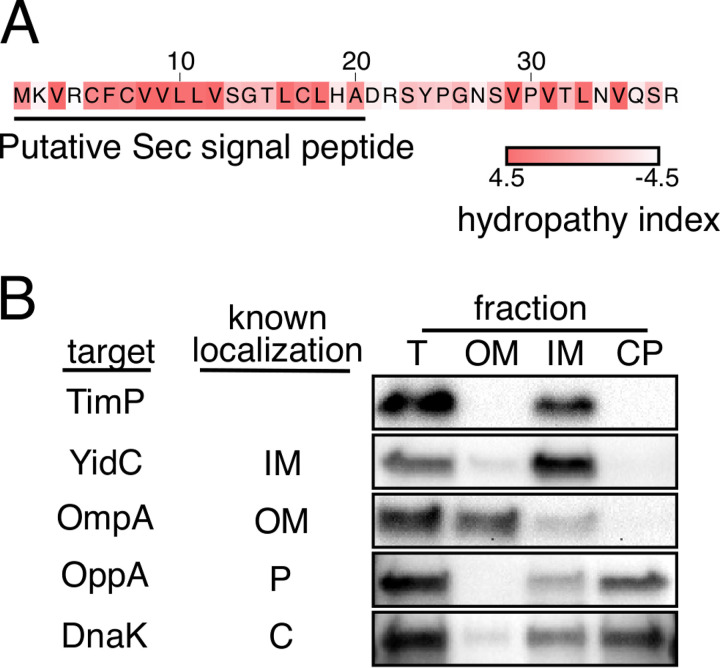 FIG 3