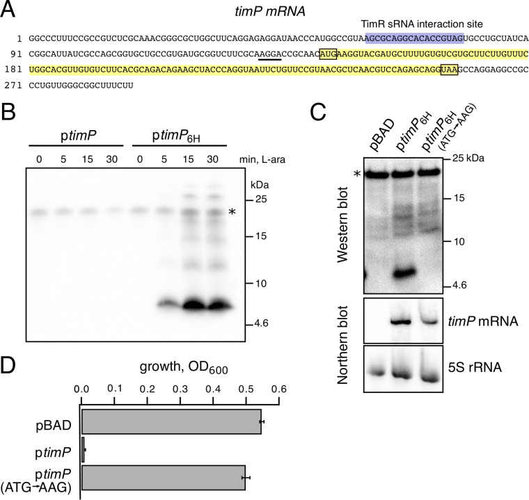 FIG 2