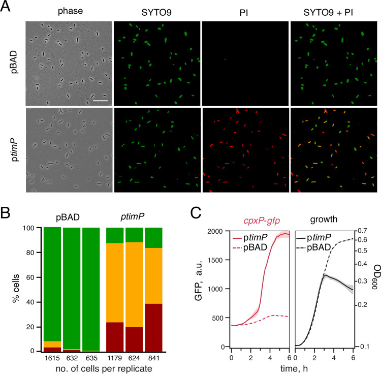 FIG 4