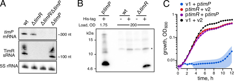 FIG 5