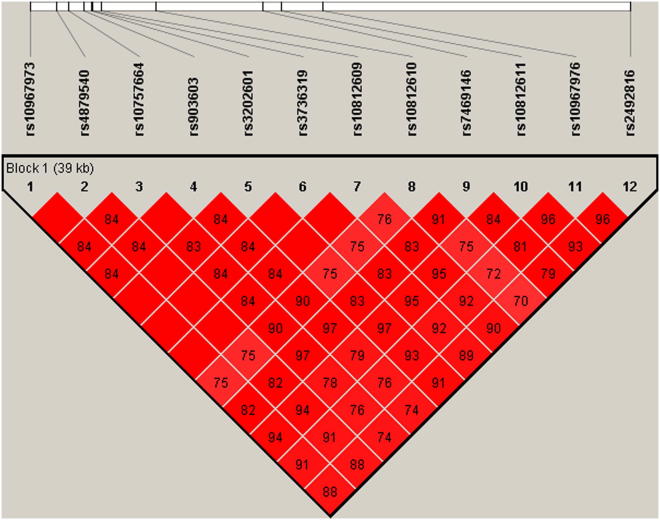 Fig. 3