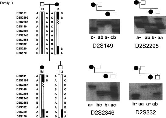 Figure  2