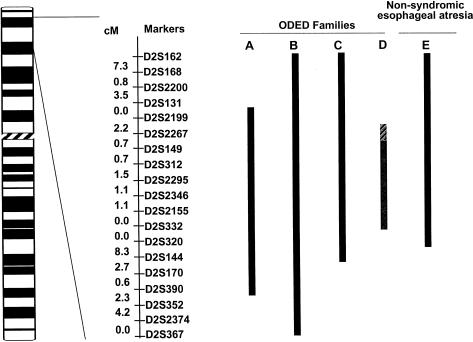 Figure  6