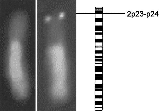 Figure  3