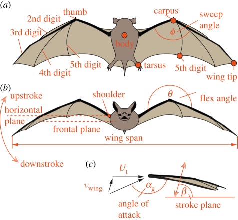 Figure 1.