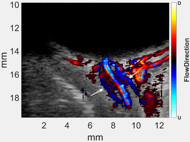 Figure 2.