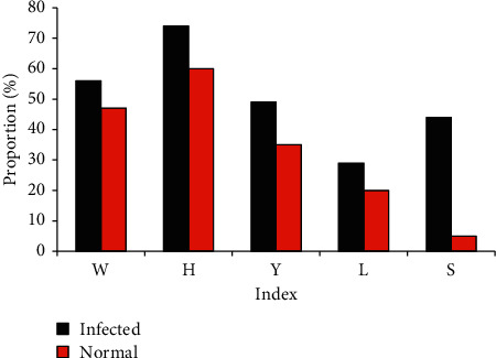 Figure 6