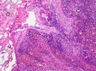 Fig 3 –