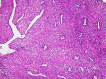 Fig 1 –