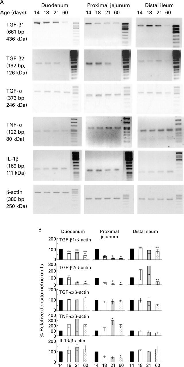 Figure 1  