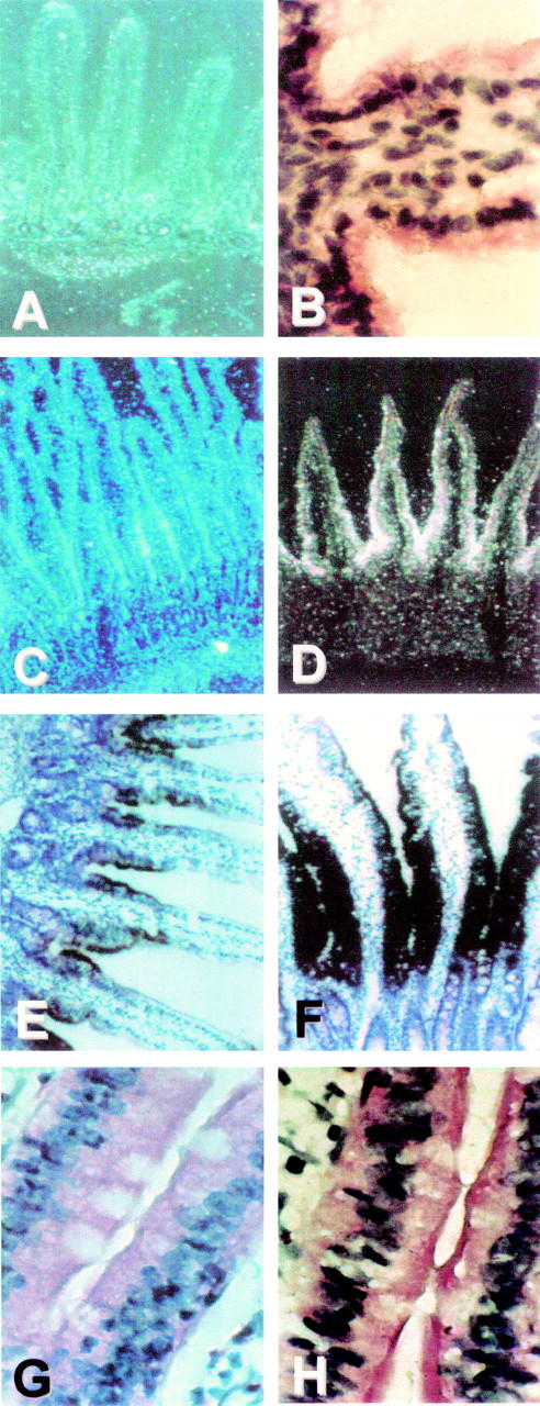 Figure 2  