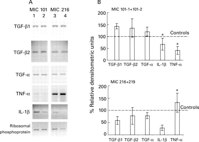 Figure 4  