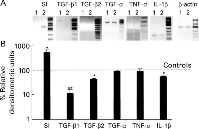 Figure 3  