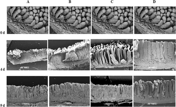 Fig. 6