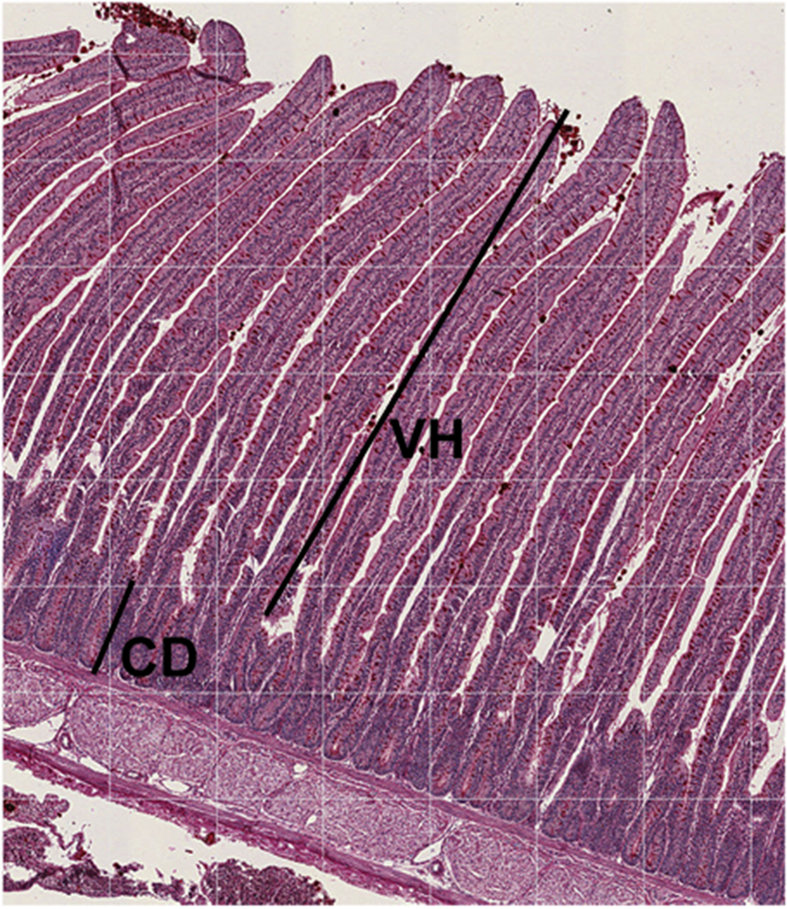 Fig. 1