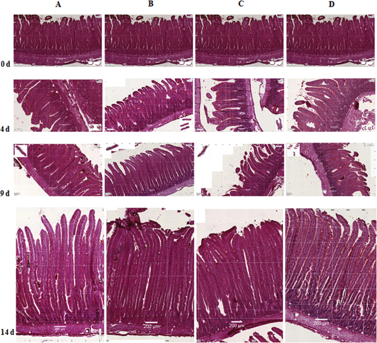 Fig. 5