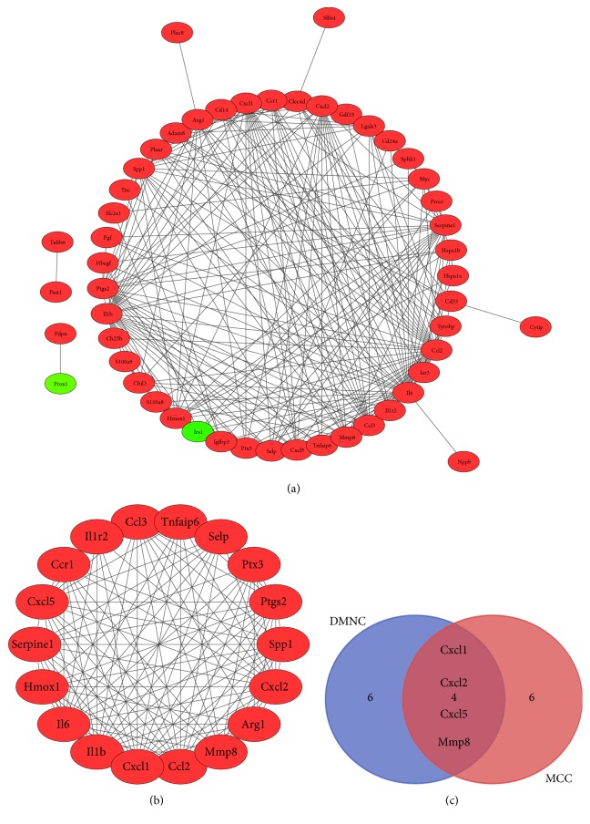 Figure 6