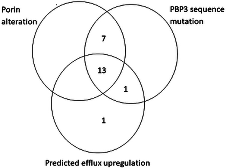 FIG 2