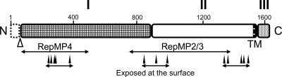 FIG. 6.