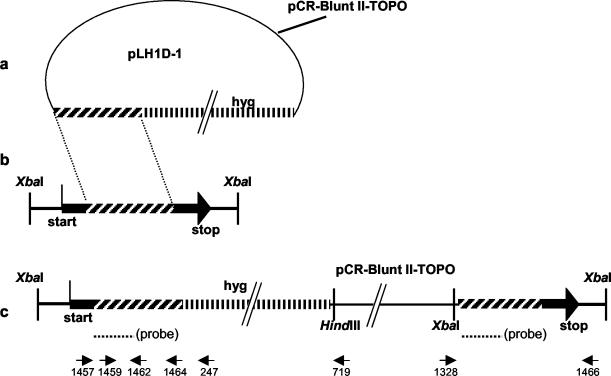 FIG. 1.