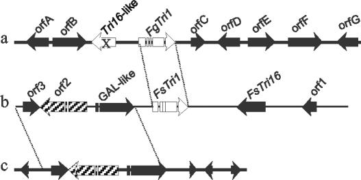 FIG. 5.