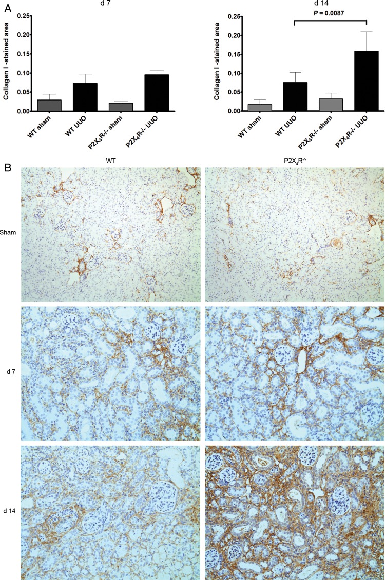 FIGURE 4: