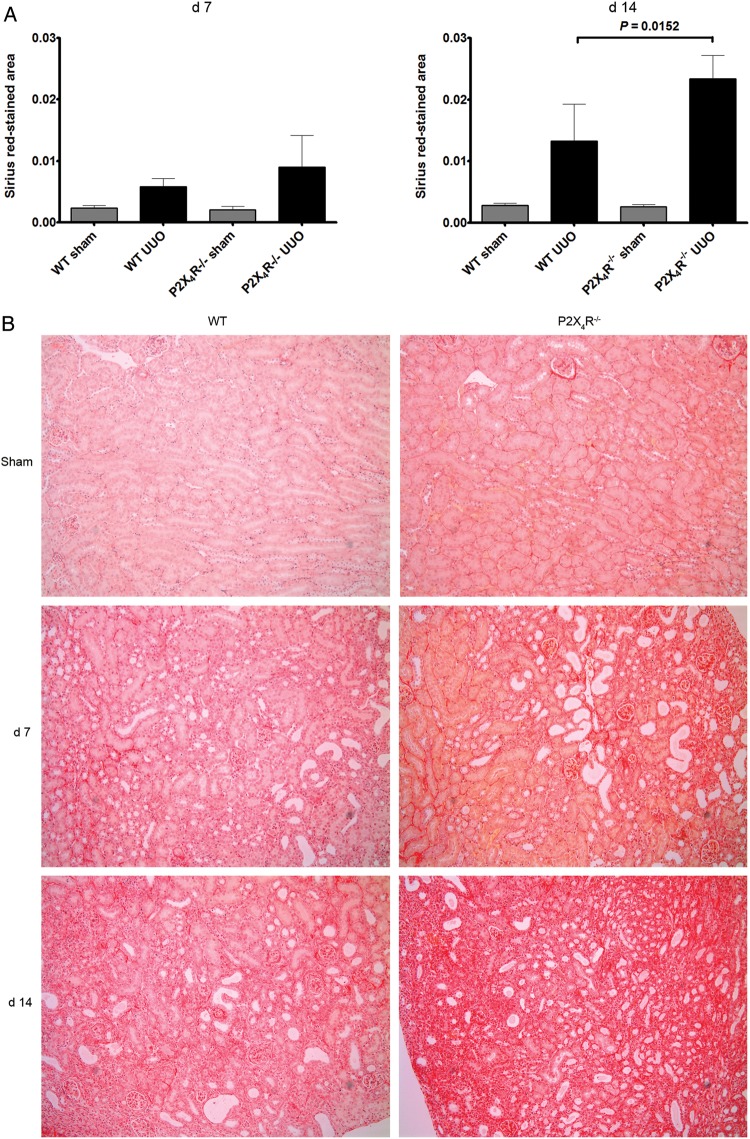 FIGURE 3: