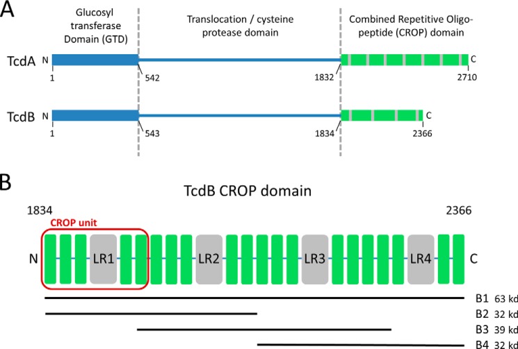 FIGURE 1.