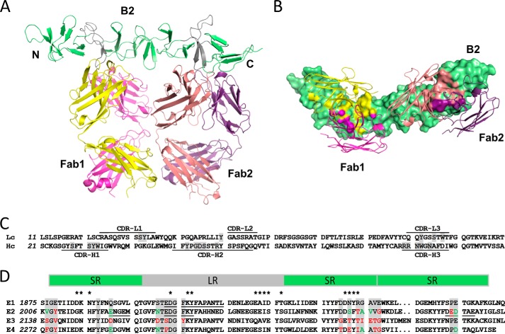 FIGURE 3.