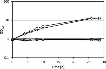 Fig. 4