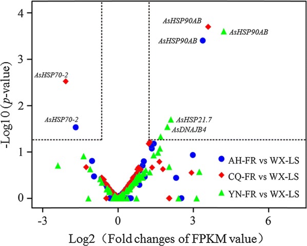 Fig. 4