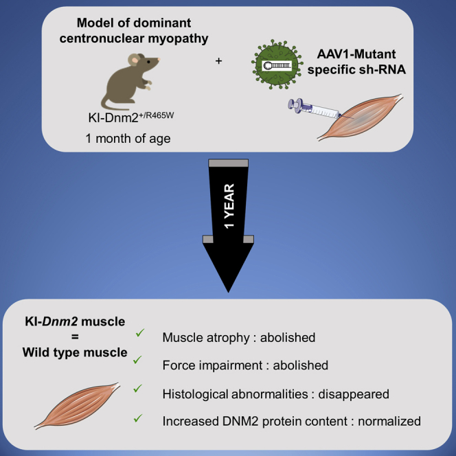 graphic file with name fx1.jpg