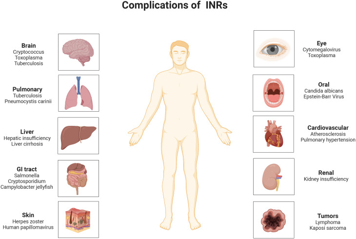 Figure 1