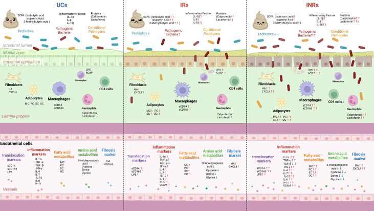 Figure 3