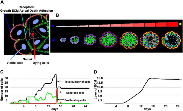 Fig. 2.