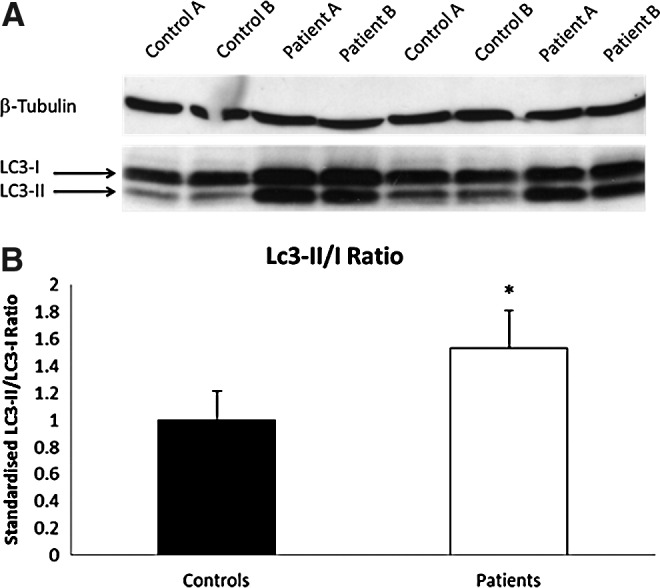 FIG. 6.