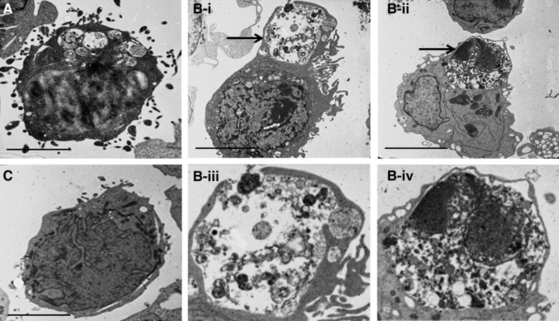 FIG. 5.