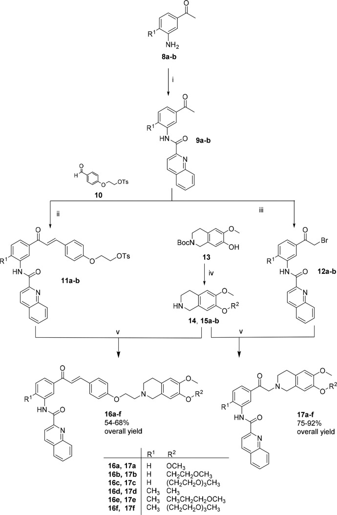 Scheme 1