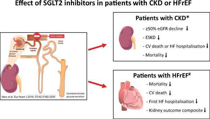 Graphical Abstract