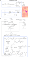 Fig 14