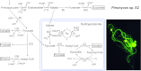 Fig 9