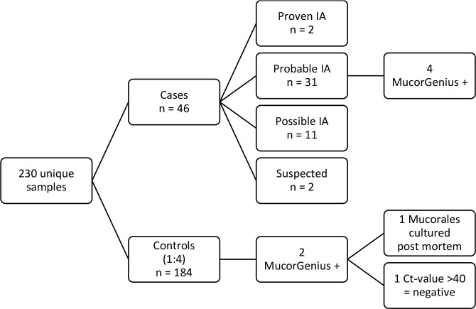 Figure 1