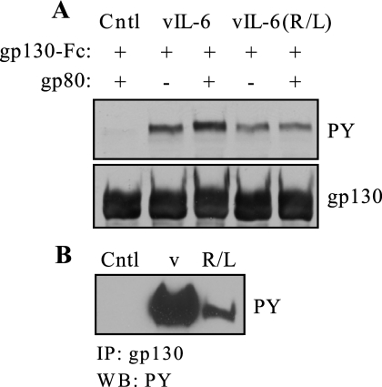 FIG.3.