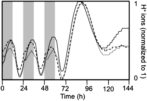 Fig. 3.