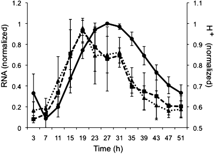 Fig. 4.